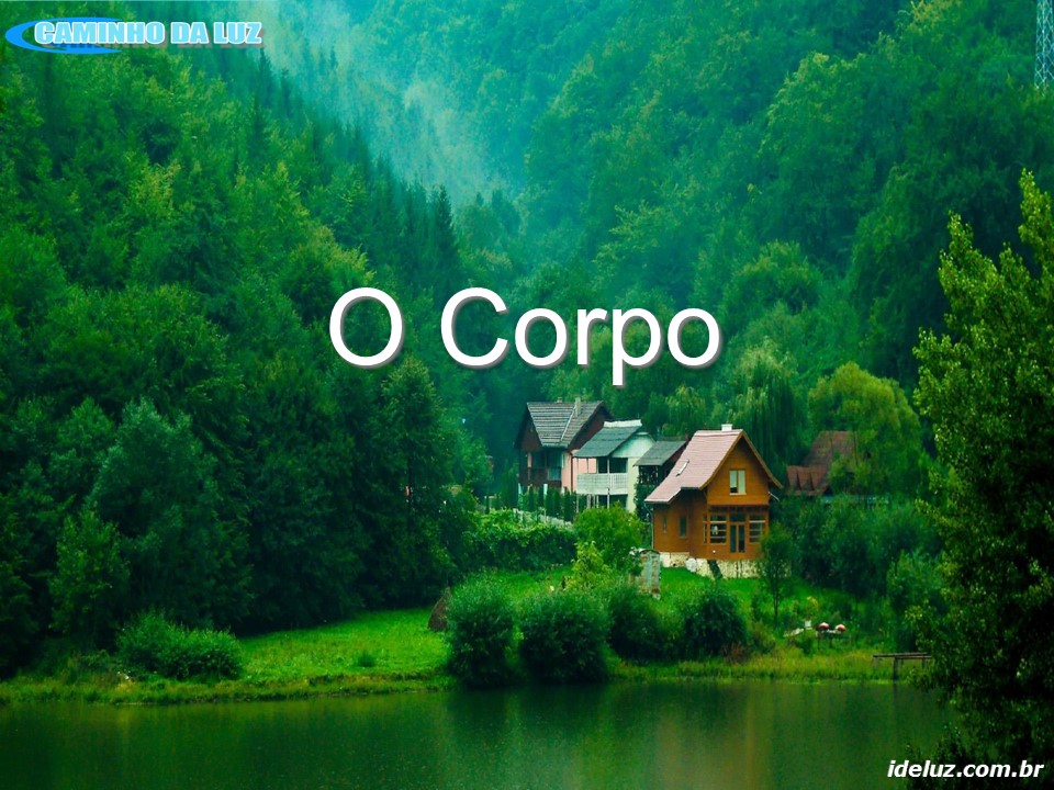 O Corpo