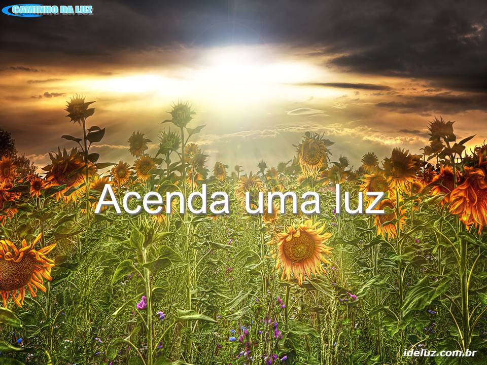 Acenda uma luz