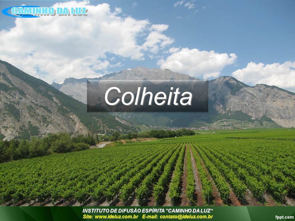 Colheita