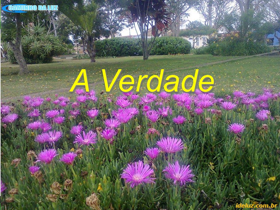 A verdade