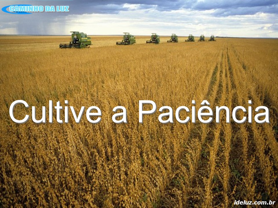 Cultive a Paciência