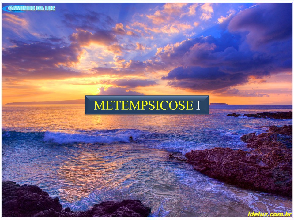 Metempsicose  I