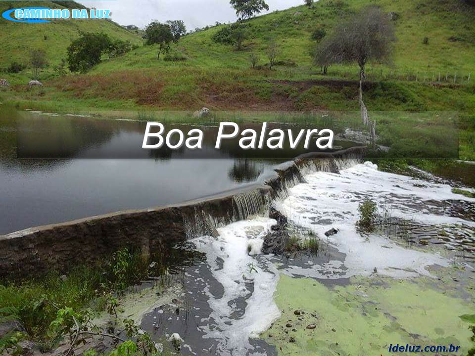 Boa Palavra