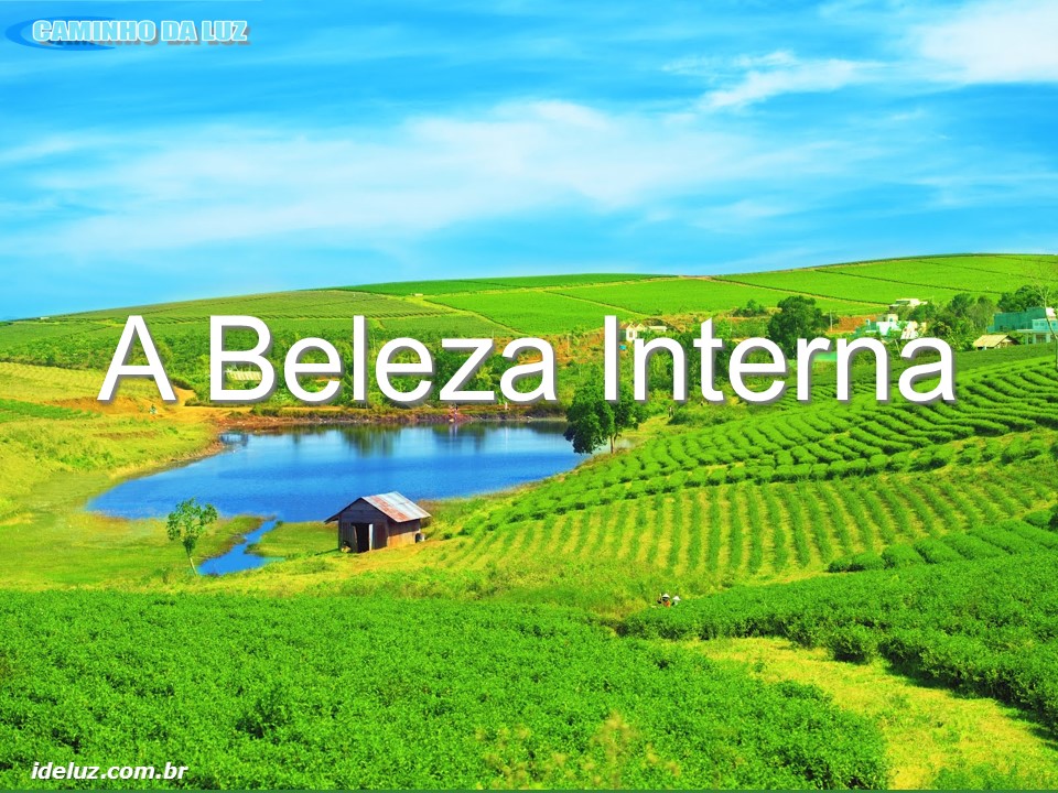 A Beleza Interna