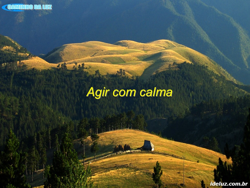 Agir com Calma