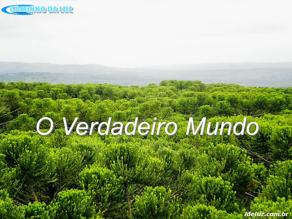 O Verdadeiro Mundo