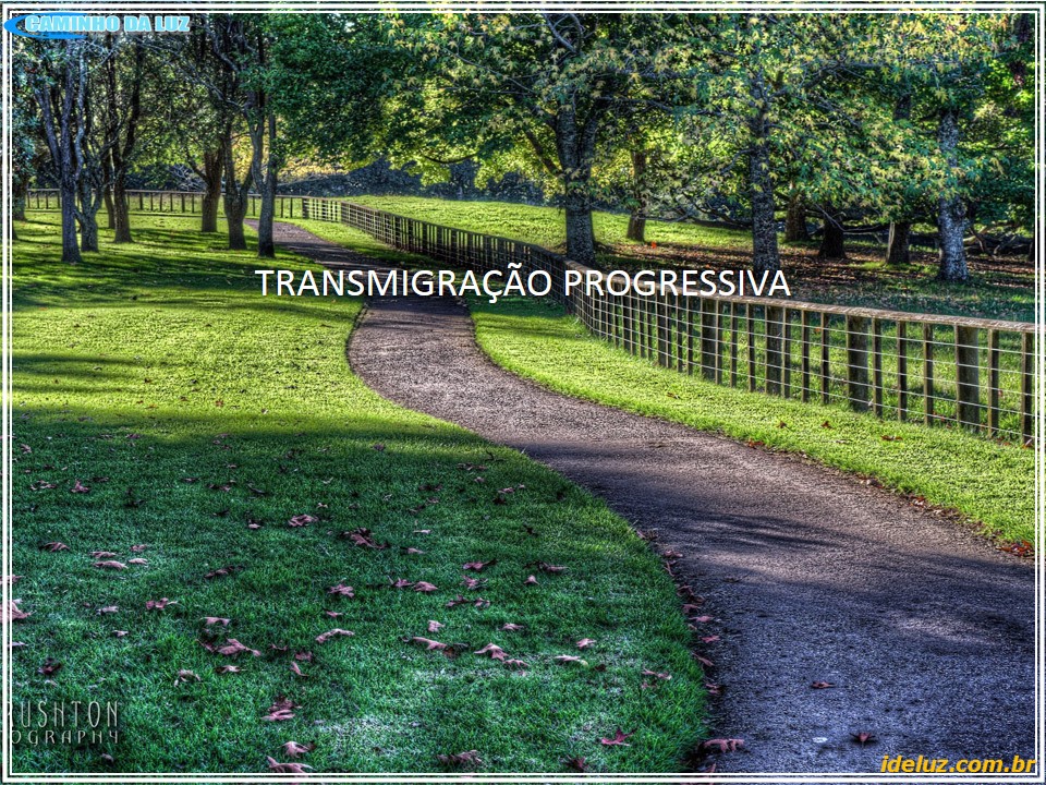 Transmigração Progressiva