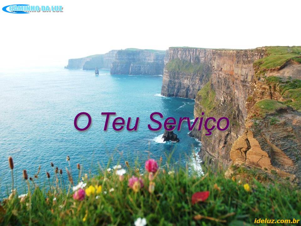O Teu Serviço