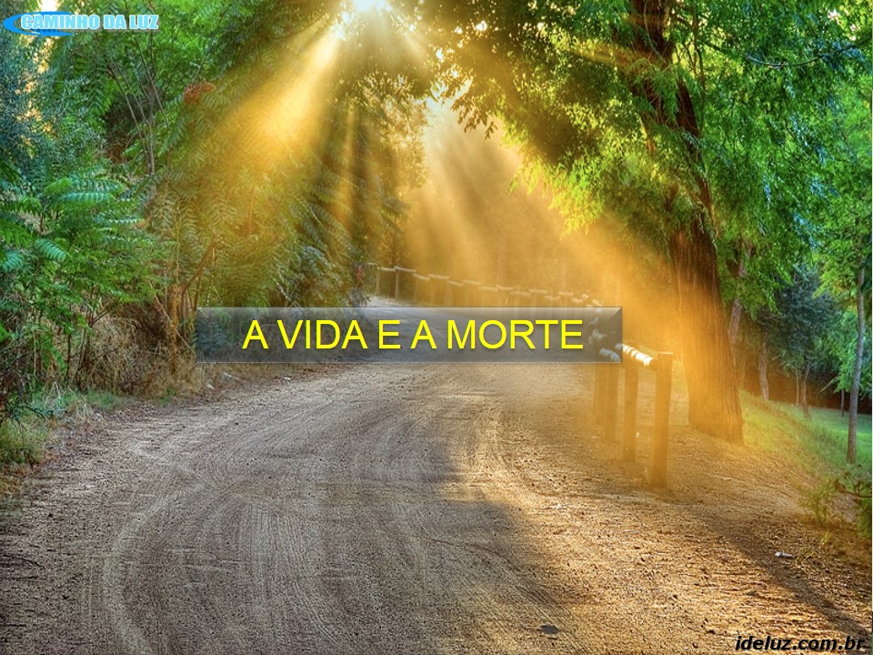 A Vida e a Morte