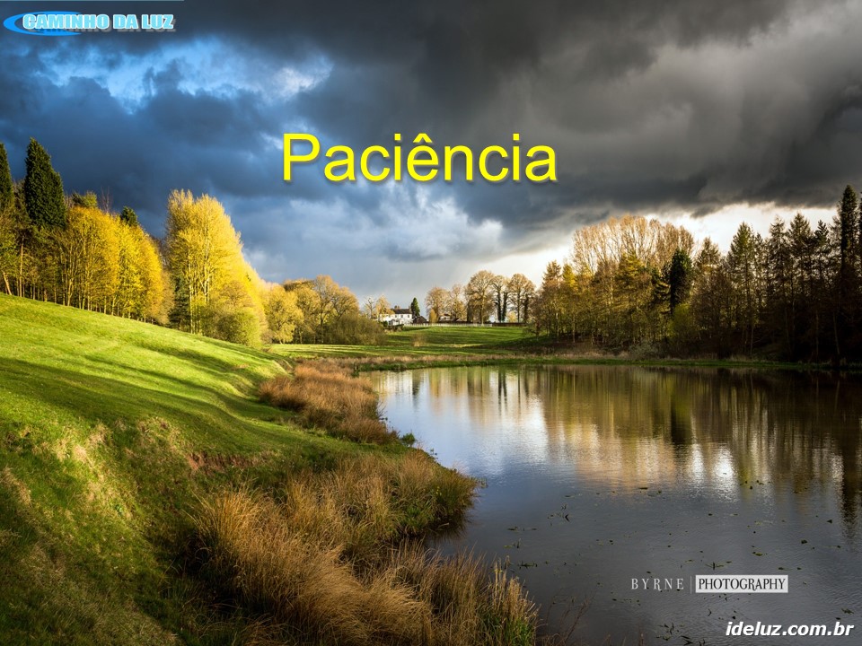 Paciência