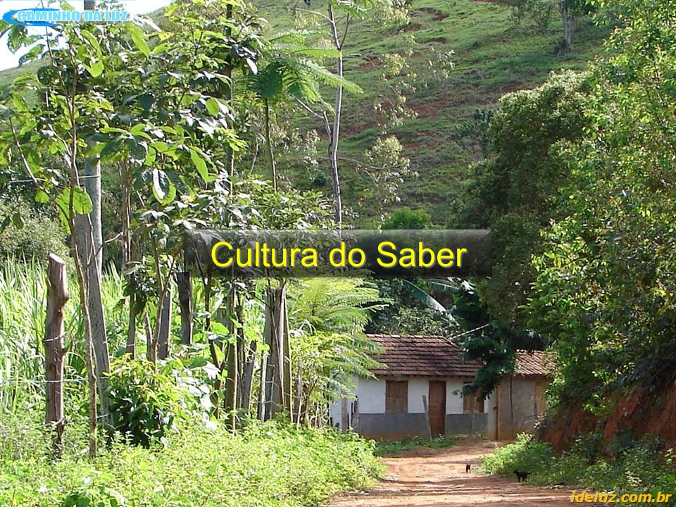 Cultura do Saber
