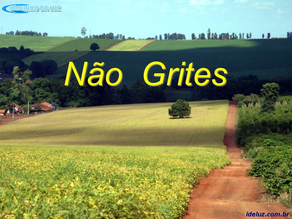 Não Grites
