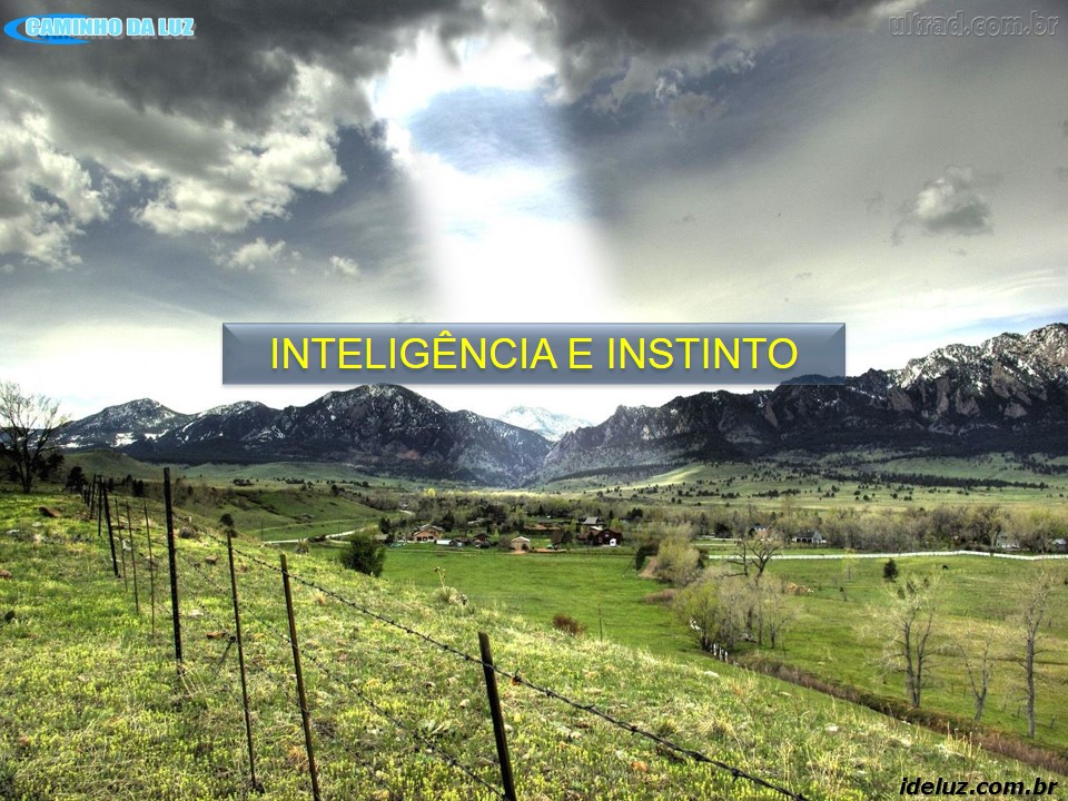 A Inteligência e o Instinto