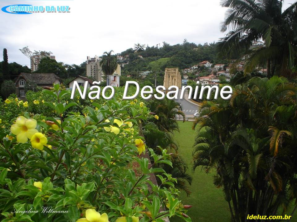 Não Desanime
