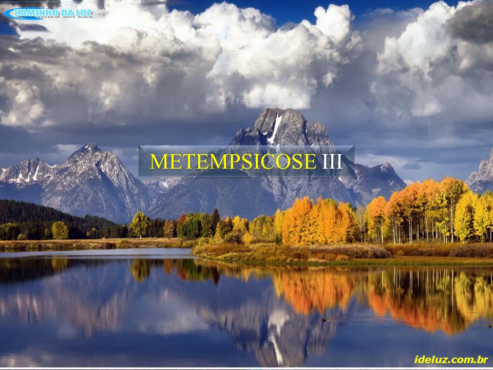 Metempsicose  III