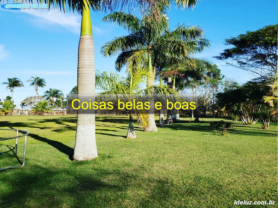 Coisas belas e boas