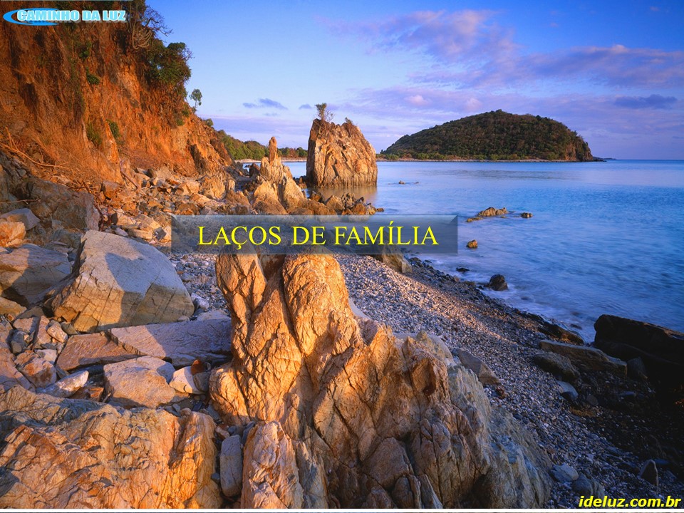 Laços de Família