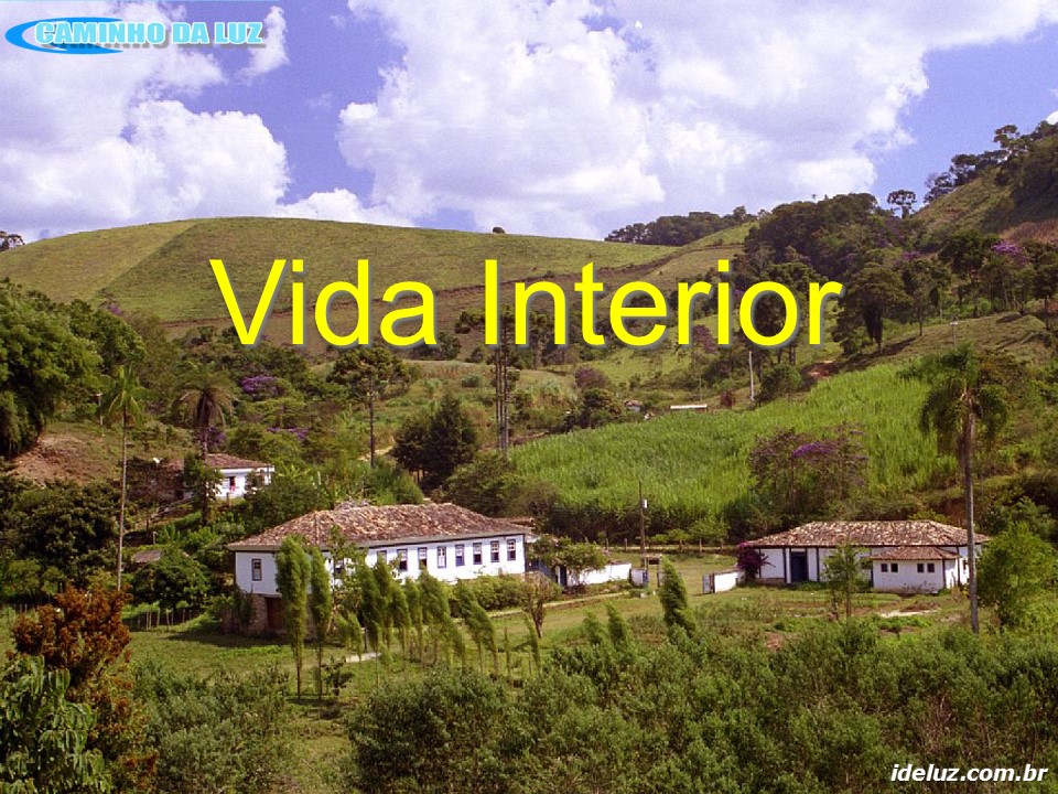 Vida Interior