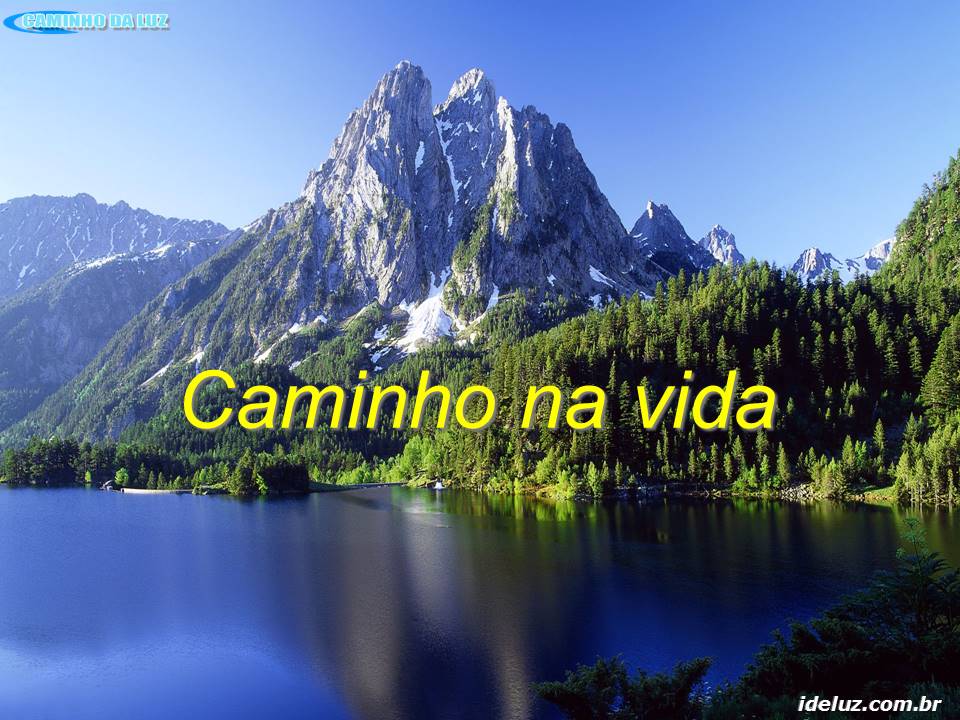 Caminho na vida