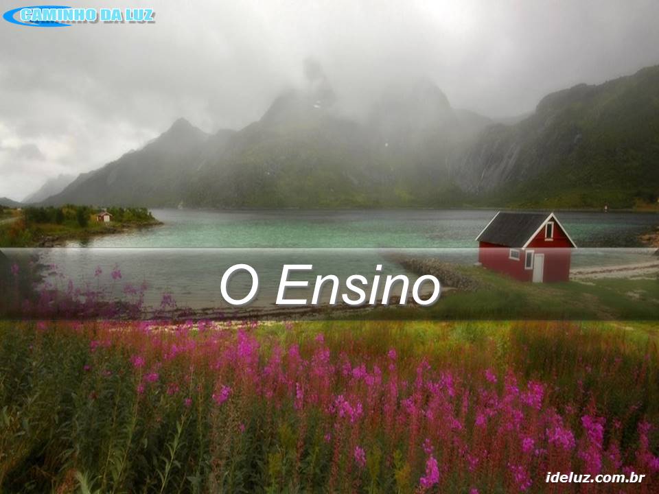 O Ensino