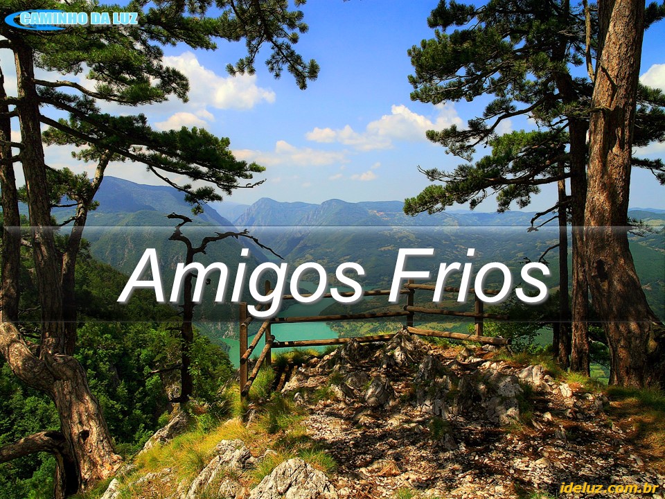 Amigos Frios