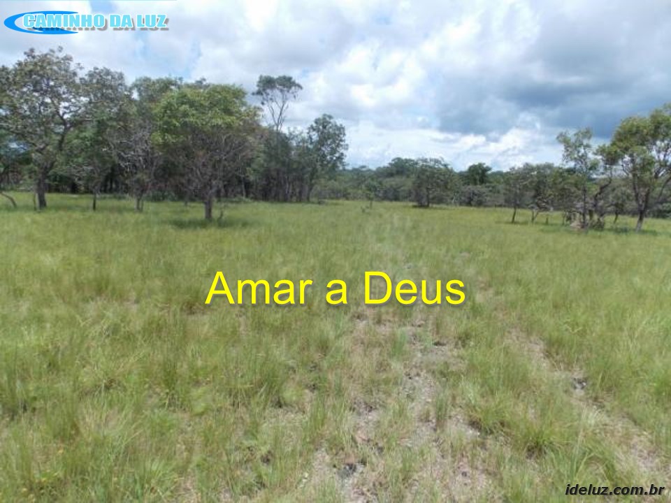 Amar a Deus