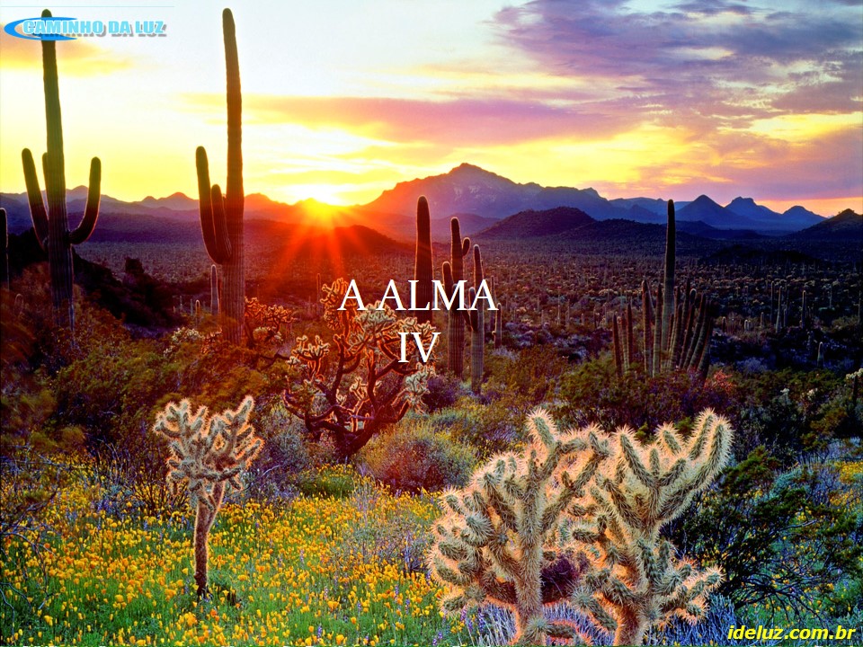A Alma IV