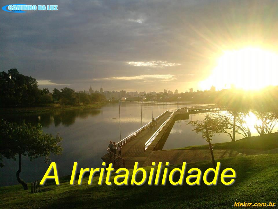 A Irritabilidade