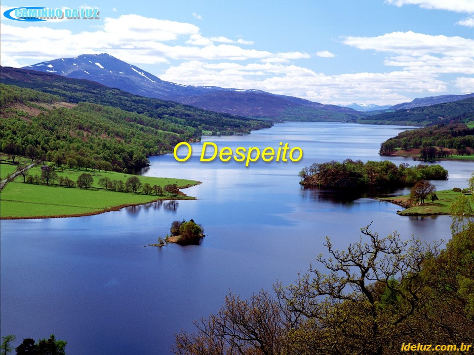 O Despeito
