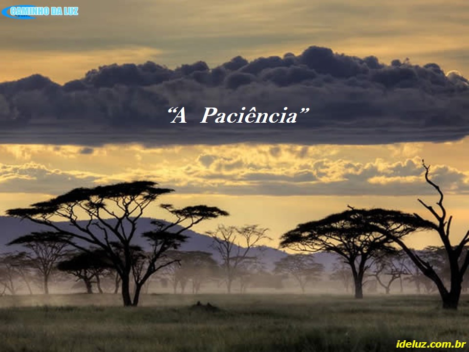 A Paciência