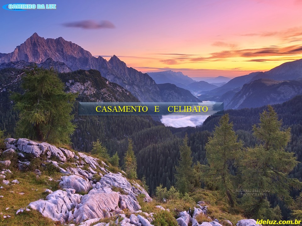 Casamento e Celibato