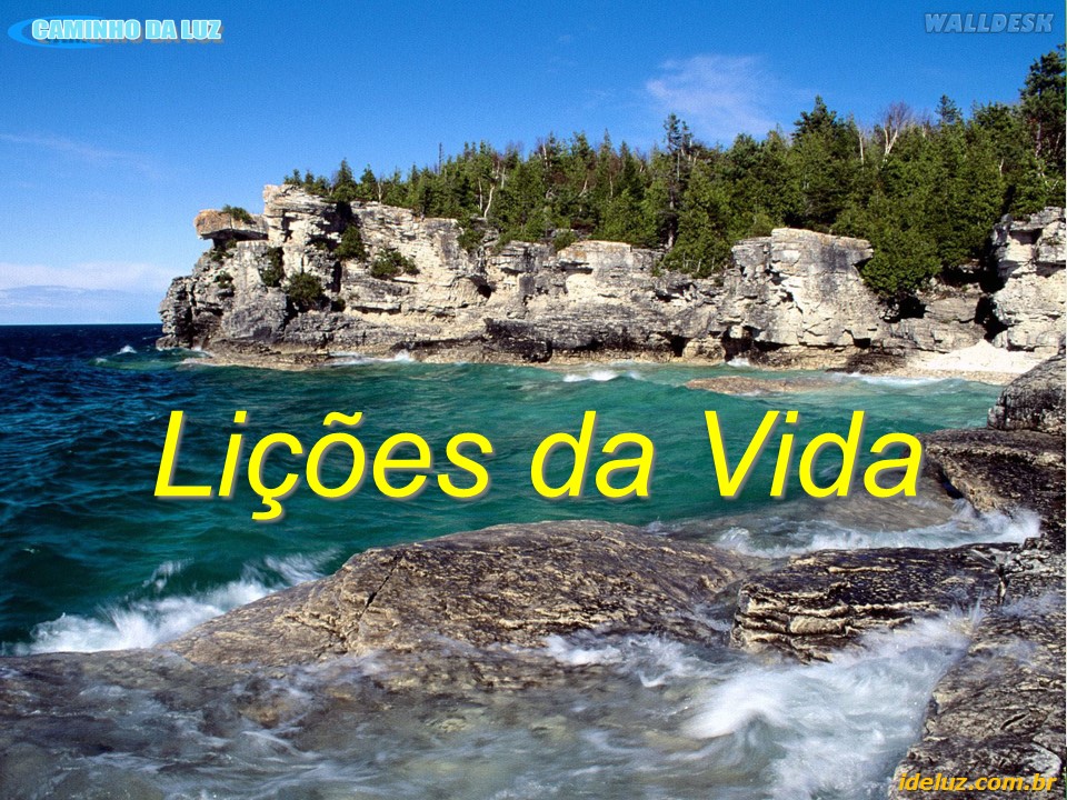 Lições da Vida
